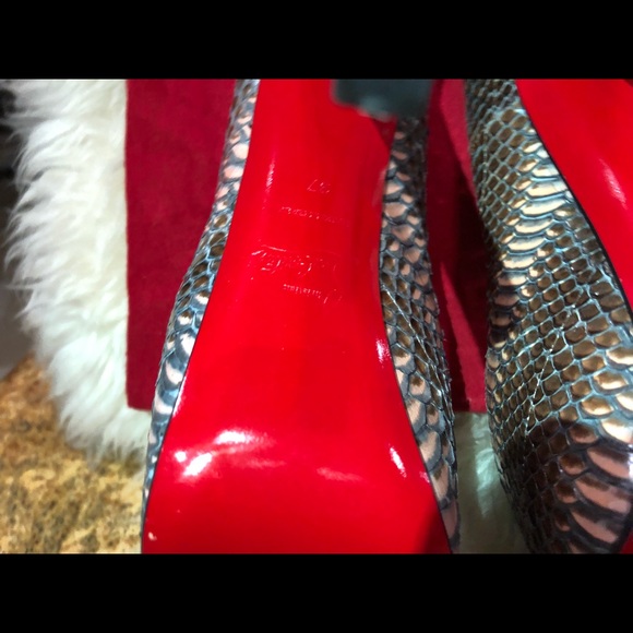 brown daffodile water snake rocaille - Picture 5 of 5